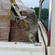 Image for article titled How We Transported The World's Cheapest New Car From China To A Backyard In North Carolina